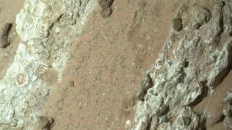 Mars'ın 'leopar desenli' kayalarında geçmiş yaşamın izleri bulunmuş olabilir