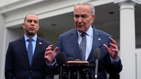 Democrats see their party as ‘weak and ineffective’ in fighting Trump, damning new poll finds