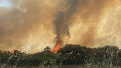 Incendio in un villaggio turistico del Crotonese: oltre 180 persone evacuate