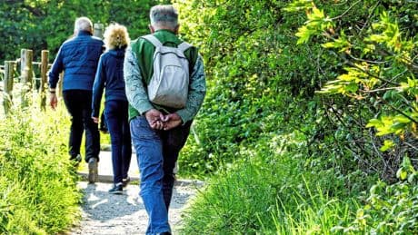 Six habitudes validées par la science pour préserver la jeunesse de son cerveau