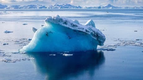 Métaux lourds, fonte des neiges… Pourquoi le tourisme menace de plus en plus l’Antarctique
