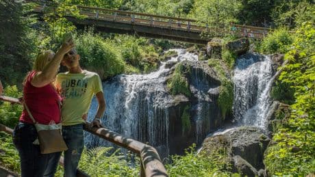 Naturaleza y mercado: soluciones imaginativas para cuidar de verdad el medioambiente