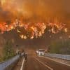 Recordtemperatuur van 50,5 graden in Turkije, evacuaties vanwege bosbranden