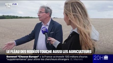 LE REPORTAGE DU 20H - Le fléau des rodéos touche aussi les agriculteurs