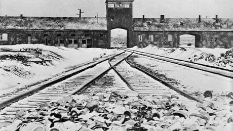 How an Auschwitz Prisoner Saved the Lives of Twins Targeted for Nazi Medical Experiments