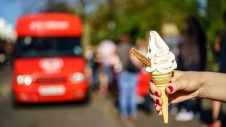 Woman visits ice cream van for first time in 43 years and is floored by cost