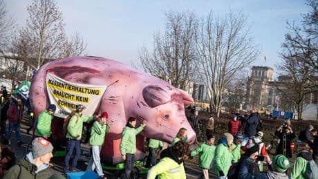 Aktion von "Wir haben es satt": Landwirte öffnen Höfe für Klimaschützer