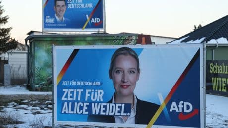 20,000 Right-wing extremists in Alternative for Germany main Opposition party, warn spy chiefs