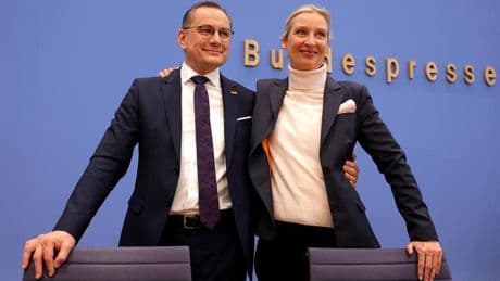 El espionaje alemán califica a la AfD de "extrema derecha' y reabre el debate de su ilegalización