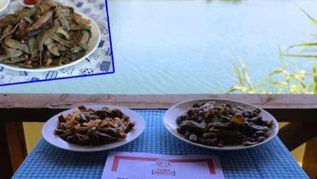 Ordu'nun fırın fasulyesi kavurmasına coğrafi işaret tescil belgesi