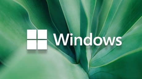 Flyoobe: Tool installiert und optimiert Windows 11 (nachträgliches OOBE)