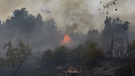 El Gobierno niega que haya contratado menos aeronaves antiincendios como denuncia el PP