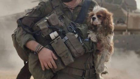 Terroristen entführten sie - Hündin Billy überlebte 550 Tage in Hamas-Gewalt