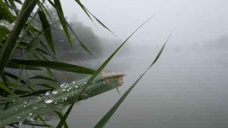 Wetter: Wolken, Regen und Gewitter zum Wochenbeginn