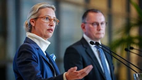 „Gesichert rechtsextremistisch“ - Wird die AfD jetzt verboten?
