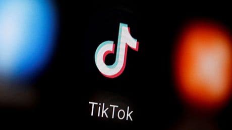 AB veri kurumundan TikTok'a 530 milyon Euro