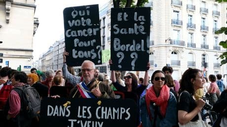 Pesticides : que sait-on de la dangerosité de l’acétamipride, réintroduit par la loi Duplomb ?