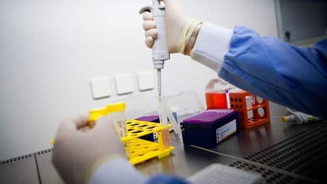 Lutte contre le cancer : des vaccins thérapeutiques très prometteurs