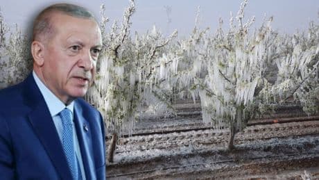 Cumhurbaşkanı Erdoğan'dan zirai don açıklaması: 'Belli ürün gruplarında sıkıntı yaşayacağız'