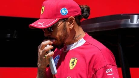 Lewis Hamilton issues fresh health update as beloved companion suffers serious illness