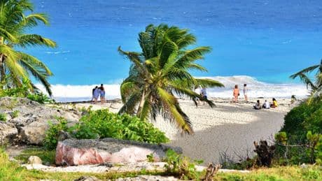 12 best things to do in Barbados, from snorkelling to exploring rum distilleries