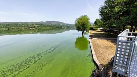 Una sentencia condena a la Xunta y al Estado por la contaminación del embalse de As Conchas, en Orense