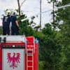 Verheerender Waldbrand in Sachsen: Einsatztaktik für Brand in Gohrischheide geändert – noch keine Entwarnung