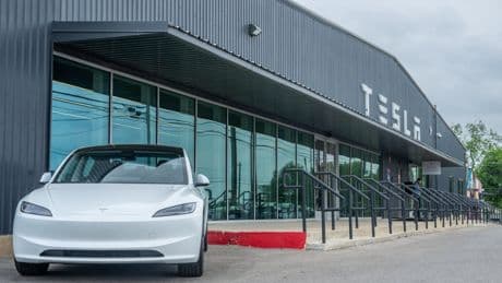 New York man took Elon Musk at his word that Teslas could drive themselves. Then he hit a tree