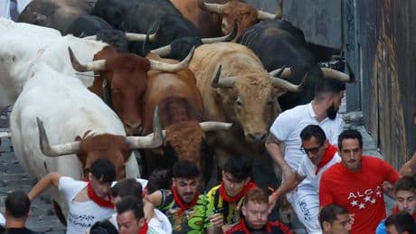Un emocionante y rápido quinto encierro de Sanfermines deja momentos de peligro y 5 heridos por contusiones