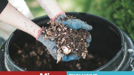 Warning over hidden danger in compost that rots lungs and kills