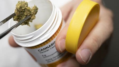 Medizin | Online-Verschreiber für medizinisches Cannabis bald vor dem Aus?