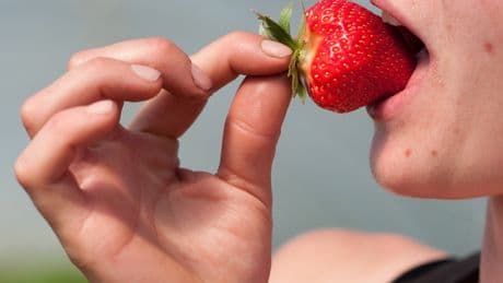 Wetter: Das ist der beste Zeitpunkt, um Erdbeeren zu pflanzen