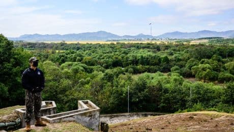 Le «no man's land» entre les deux Corées est devenu un sanctuaire écologique pour la faune et la flore locales