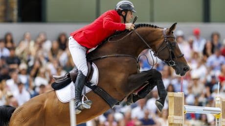 EM-Gold im Springreiten: „Jeder hat gesehen, wie phänomenal er ist“