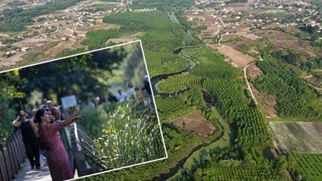 Tek parça olmasıyla dikkat çekiyor! Burası dünyada ikinci Türkiye'de tek | 'Longoz tarif edilemez, yaşanır'