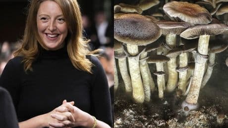 Trump’s Surgeon General pick credits magic mushrooms with helping her find love. Here’s what to know about the psychedelic drug