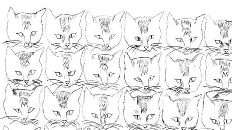 « Chemoule, un chat français », de Nathalie Quintane : le monde vu par un félin pas banal
