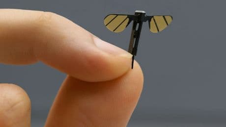 China tiene un robot &#039;invisible&#039; con forma de mosquito para espiar en las operaciones militares