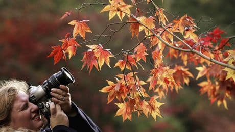 Celebrate World Photography Day by showing NPR the coolest shot you've ever captured