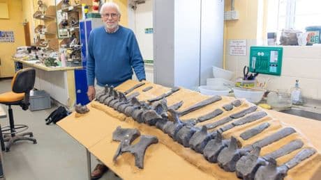 New 125 million year-old dinosaur species discovered on the Isle of Wight with unusual feature to attract partners