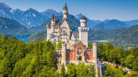 Tourist left dog in hot locker so she could explore castle, say police
