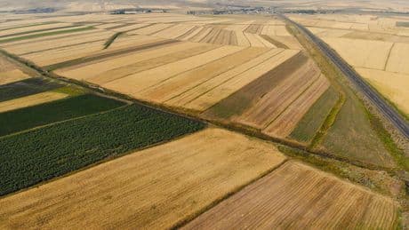 Kars'ta rengarenk tarım arazileri: Halı gibi rengarenk