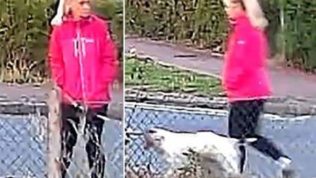 Anita Rose killer was free to roam streets before beating dog walker to death