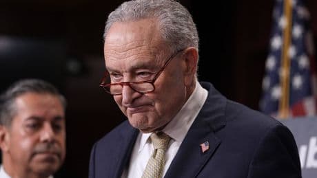 Chuck Schumer struggles to meet the moment as Democrats call for leadership