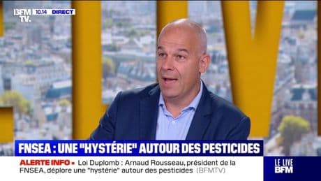 Loi Duplomb: "L'élevage intensif en France n'existe pas", déclare Arnaud Rousseau, président de la FNSEA