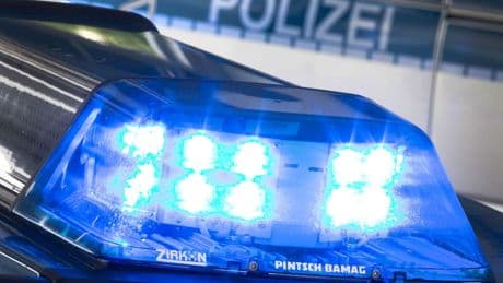 Rettungseinsatz: Kuh bleibt im Schlamm stecken