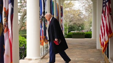 A Bull in the China Policy Shop