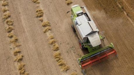 L’alimentation toujours très dépendante des énergies fossiles