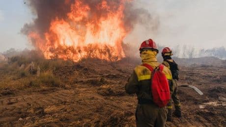 En Espagne, les fonds pour la prévention des incendies ont été divisés par deux en treize ans