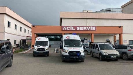 Iğdır'da dehşet! 2 yengesini de katletti